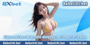 Tìm hiểu các mẹo soi kèo C1 từ các chuyên gia bóng đá trên 8xbet để tăng cơ hội chiến thắng!